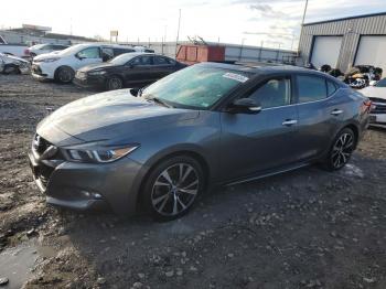  Salvage Nissan Maxima