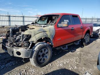  Salvage Ford F-150