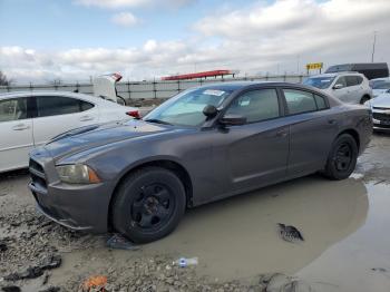  Salvage Dodge Charger