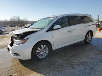  Salvage Honda Odyssey