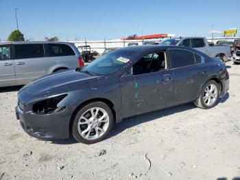  Salvage Nissan Maxima