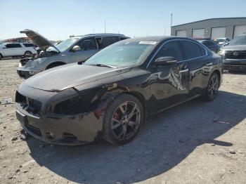  Salvage Nissan Maxima