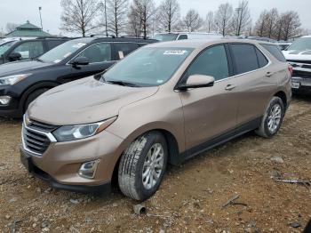  Salvage Chevrolet Equinox