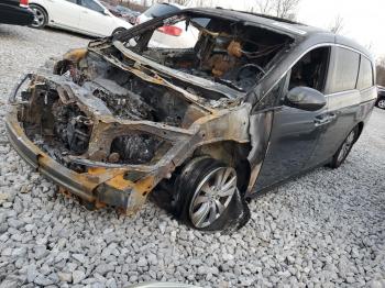  Salvage Honda Odyssey
