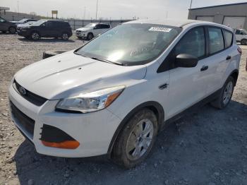 Salvage Ford Escape