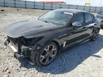  Salvage Kia Stinger