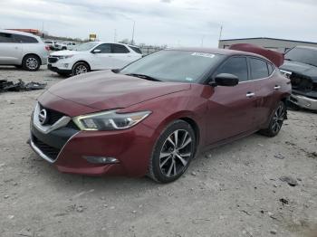  Salvage Nissan Maxima