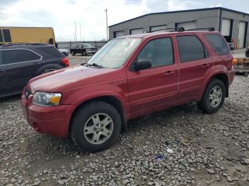  Salvage Ford Escape