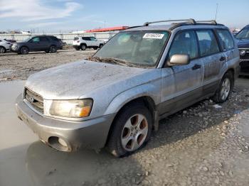  Salvage Subaru Forester