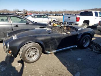  Salvage Cobra Trike Cobra
