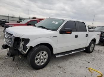  Salvage Ford F-150