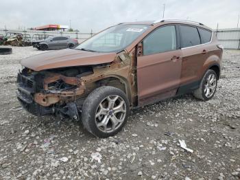  Salvage Ford Escape