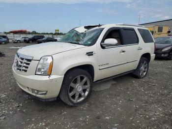  Salvage Cadillac Escalade