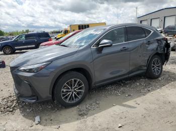  Salvage Lexus NX
