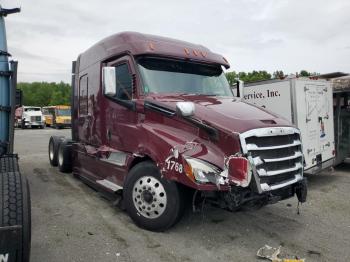  Salvage Freightliner Cascadia 1