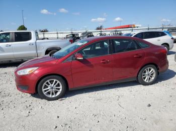  Salvage Ford Focus