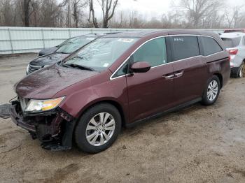  Salvage Honda Odyssey