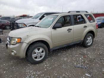  Salvage Ford Escape