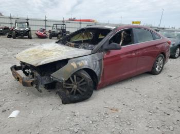  Salvage Hyundai SONATA