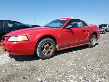  Salvage Ford Mustang