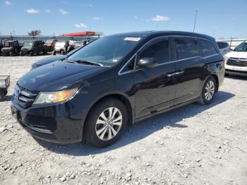  Salvage Honda Odyssey