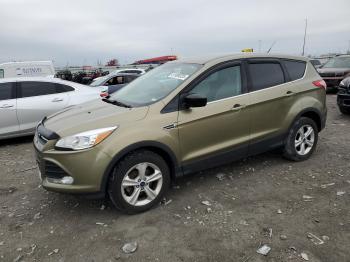  Salvage Ford Escape