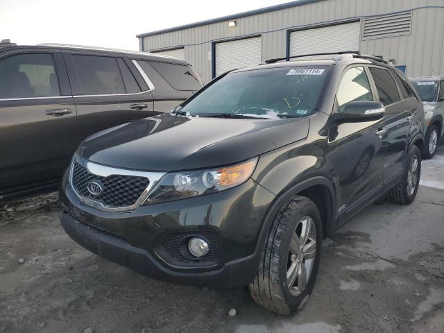  Salvage Kia Sorento