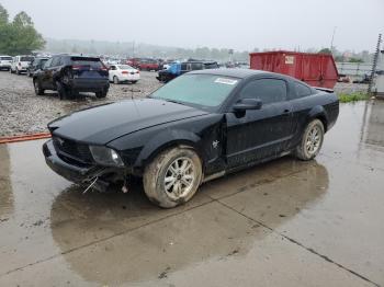  Salvage Ford Mustang