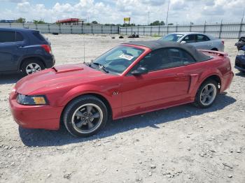  Salvage Ford Mustang