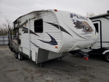  Salvage Puma Palomino M