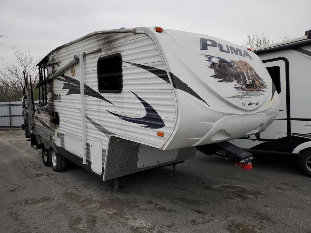  Salvage Puma Palomino M