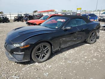  Salvage Ford Mustang