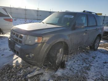  Salvage Ford Escape