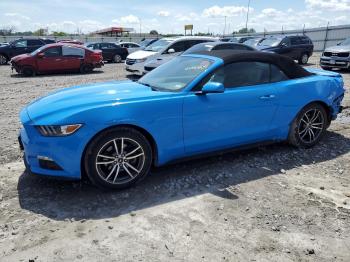  Salvage Ford Mustang