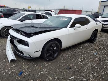  Salvage Dodge Challenger