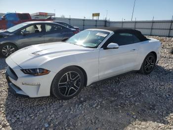  Salvage Ford Mustang