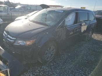  Salvage Honda Odyssey