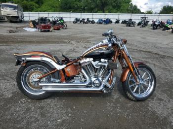  Salvage Harley-Davidson Fxstsse2 1