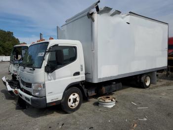  Salvage True Canter