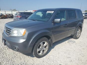  Salvage Honda Pilot