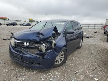  Salvage Honda Odyssey