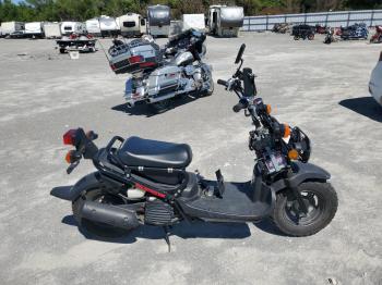  Salvage Hond Ruckus