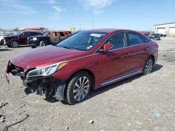  Salvage Hyundai SONATA