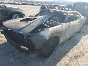  Salvage Dodge Challenger