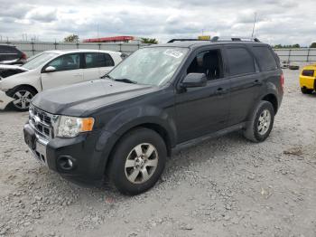  Salvage Ford Escape