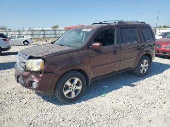  Salvage Honda Pilot