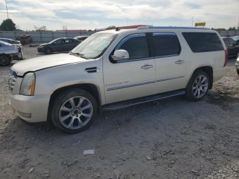  Salvage Cadillac Escalade