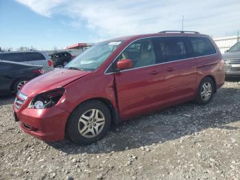  Salvage Honda Odyssey