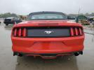 Ford Mustang Image 2