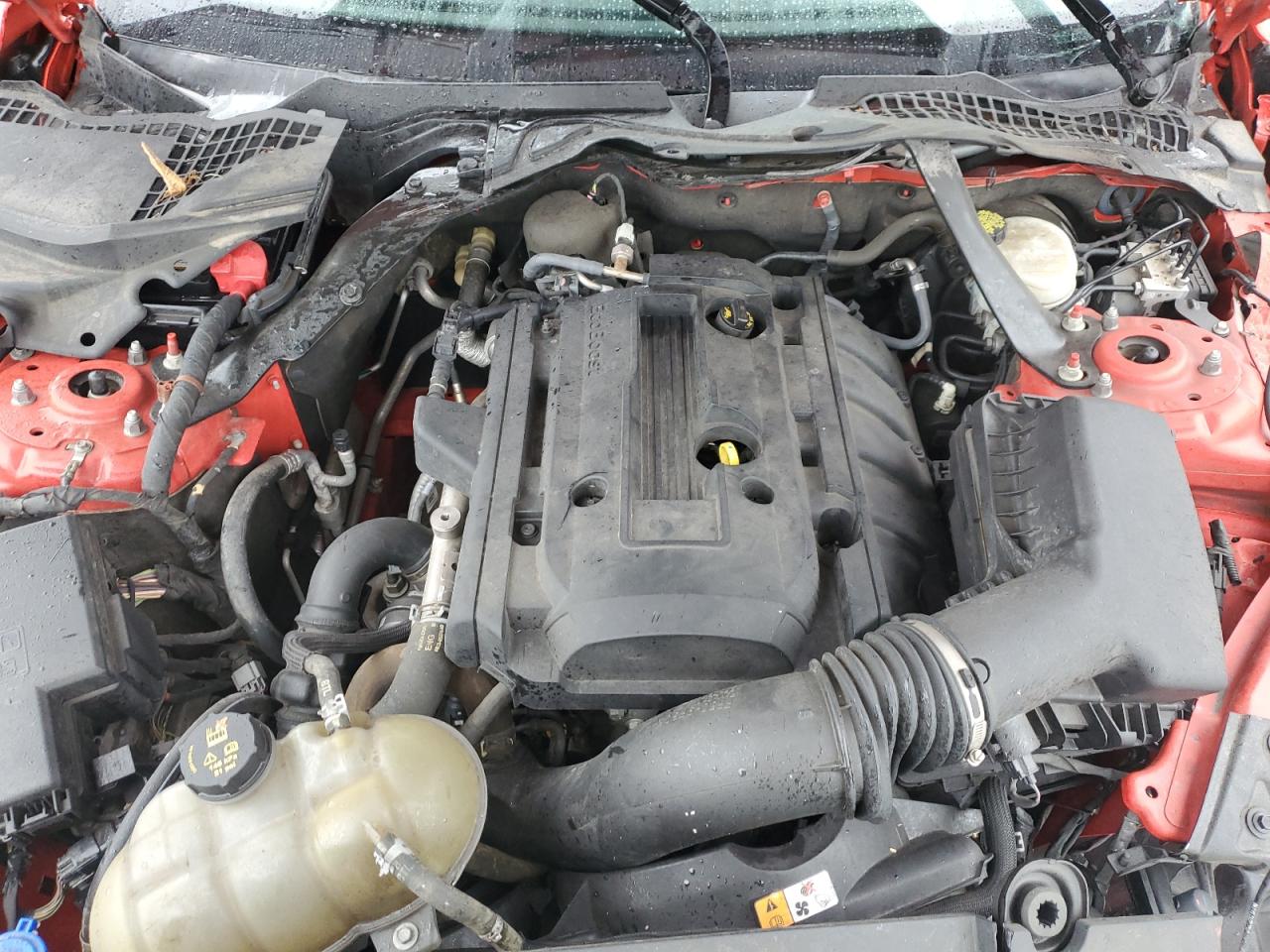 Ford Mustang Image 12